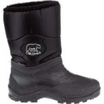 Μποτάκια χιονιού