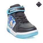 Sonic - Image 3