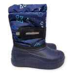 Μποτάκια χιονιού