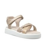Fenecia - Image 4